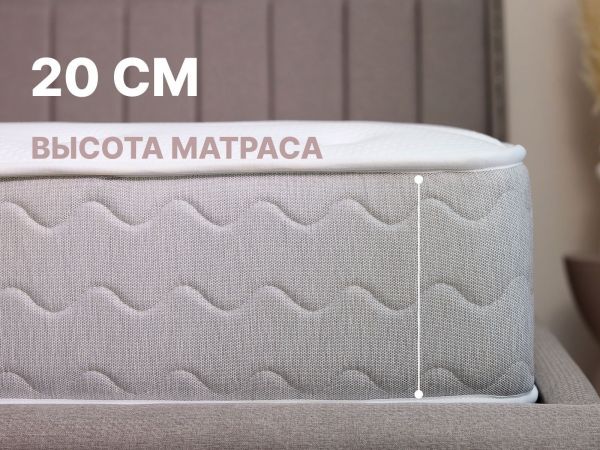 Матрас Dimax Bliss Choice (Блисс&nbsp;Чойсе)